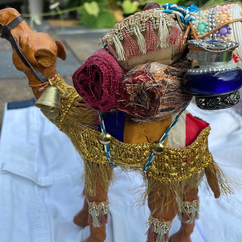 Camel from India
